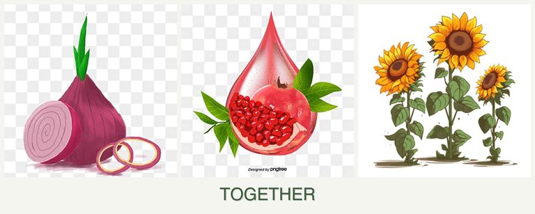 Can you plant onions, pomegranates and sunflowers together?