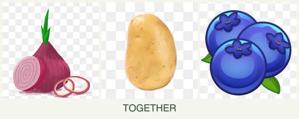 Can you plant onions, potatoes and blueberries together?