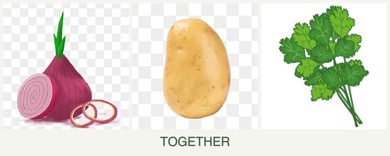 Can you plant onions, potatoes and cilantro together?