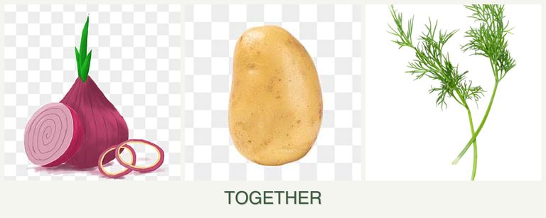 Can you plant onions, potatoes and dill together?