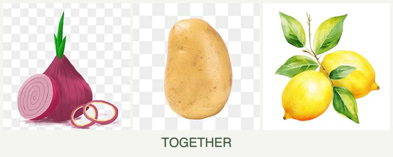 Can you plant onions, potatoes and lemons together?