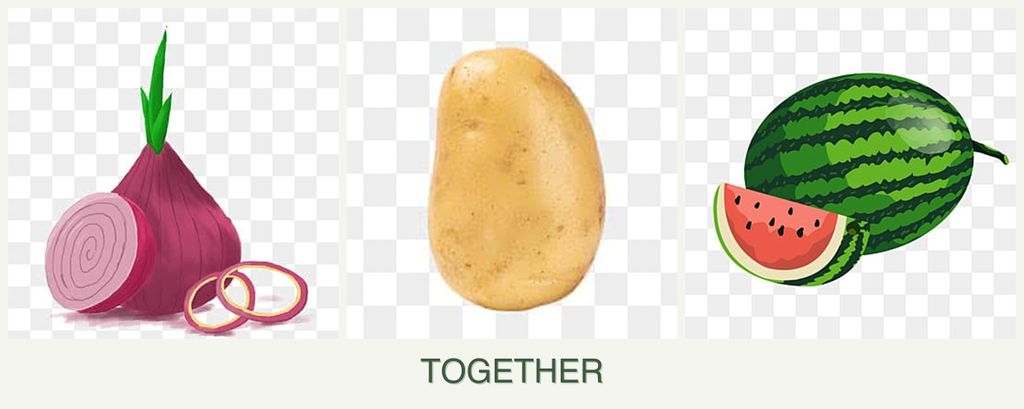Can you plant onions, potatoes and melons together?