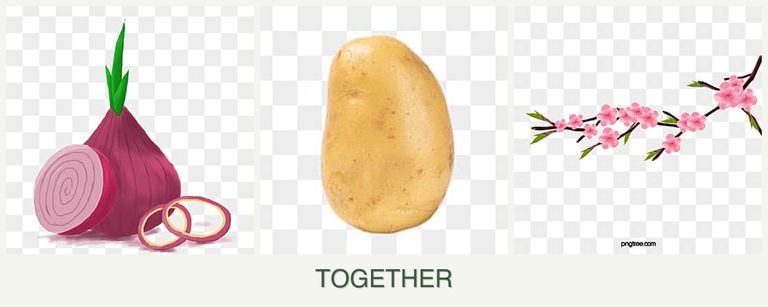 Can you plant onions, potatoes and peaches together?