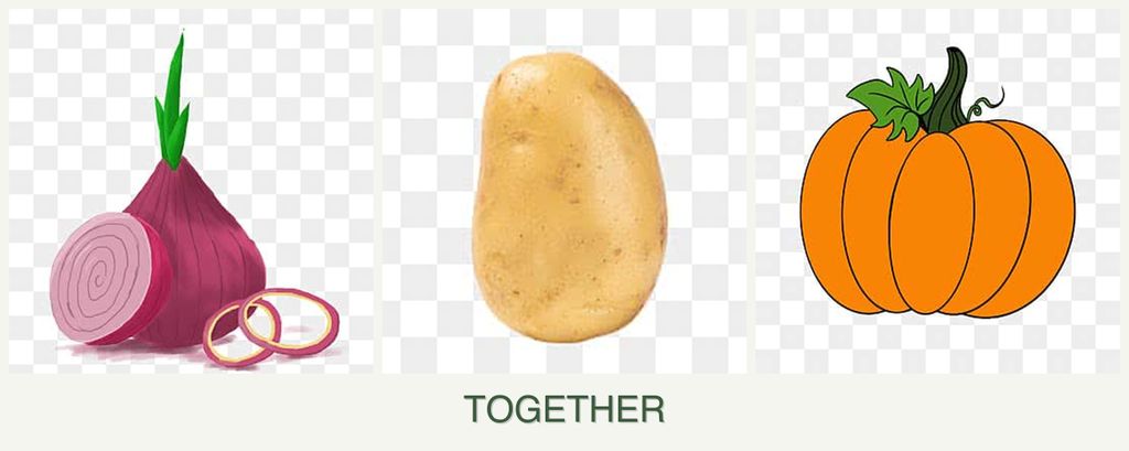 Can you plant onions, potatoes and pumpkin together?