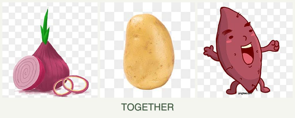 Can you plant onions, potatoes and sweet potatoes together?