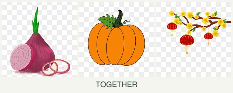 Can you plant onions, pumpkin and apricots together?