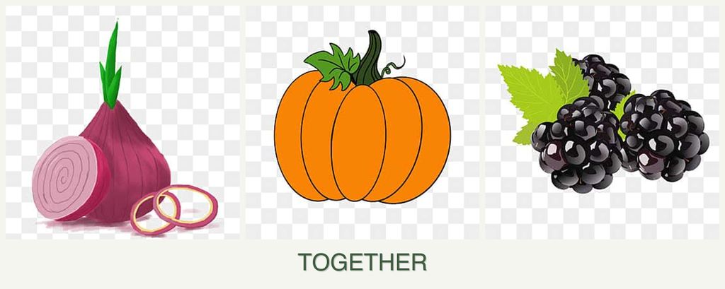 Can you plant onions, pumpkin and blackberries together?