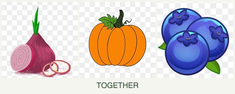 Can you plant onions, pumpkin and blueberries together?