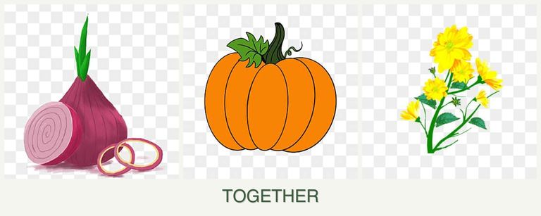 Can you plant onions, pumpkin and calendula together?
