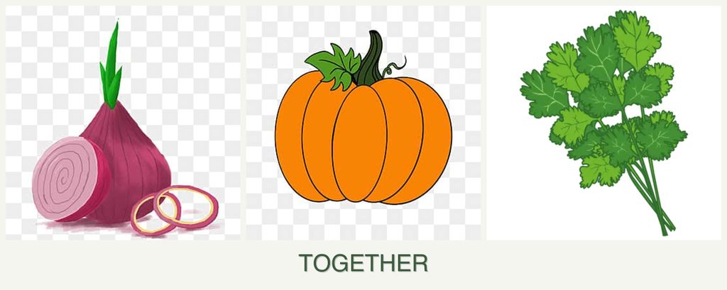 Can you plant onions, pumpkin and cilantro together?