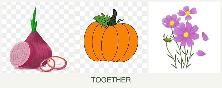 Can you plant onions, pumpkin and cosmos together?