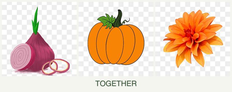 Can you plant onions, pumpkin and dahlias together?