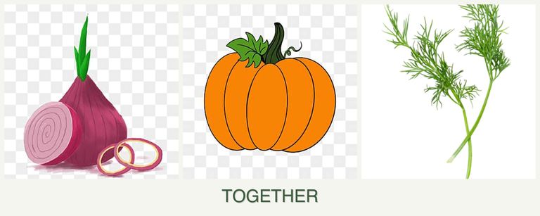 Can you plant onions, pumpkin and dill together?