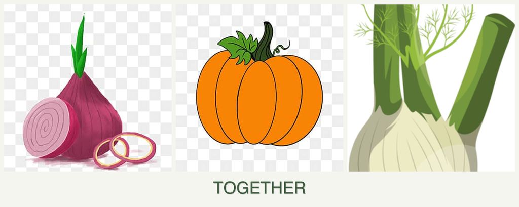 Can you plant onions, pumpkin and fennel together?