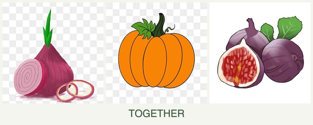 Can you plant onions, pumpkin and figs together?