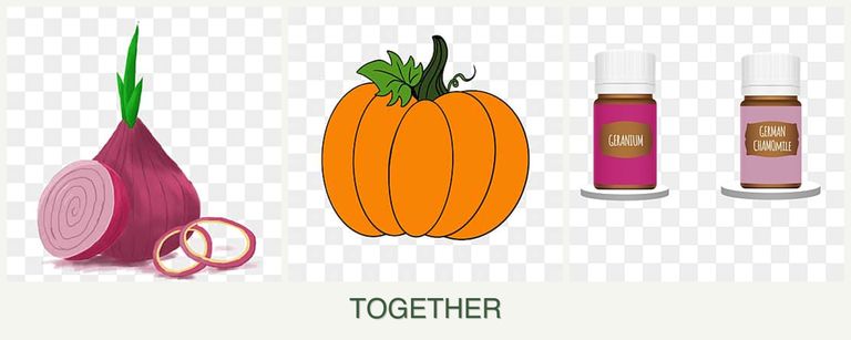 Can you plant onions, pumpkin and geraniums together?