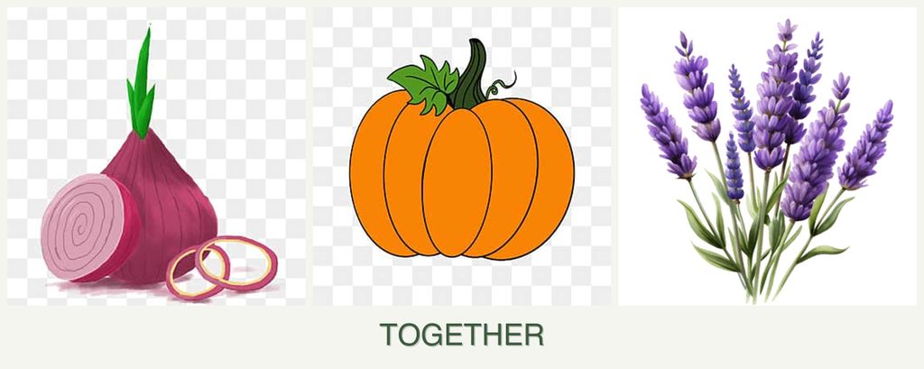Can you plant onions, pumpkin and lavender together?