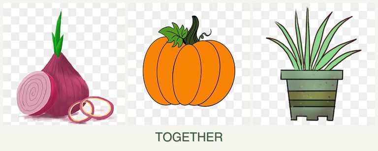 Can you plant onions, pumpkin and lemongrass together?