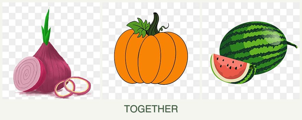 Can you plant onions, pumpkin and melons together?