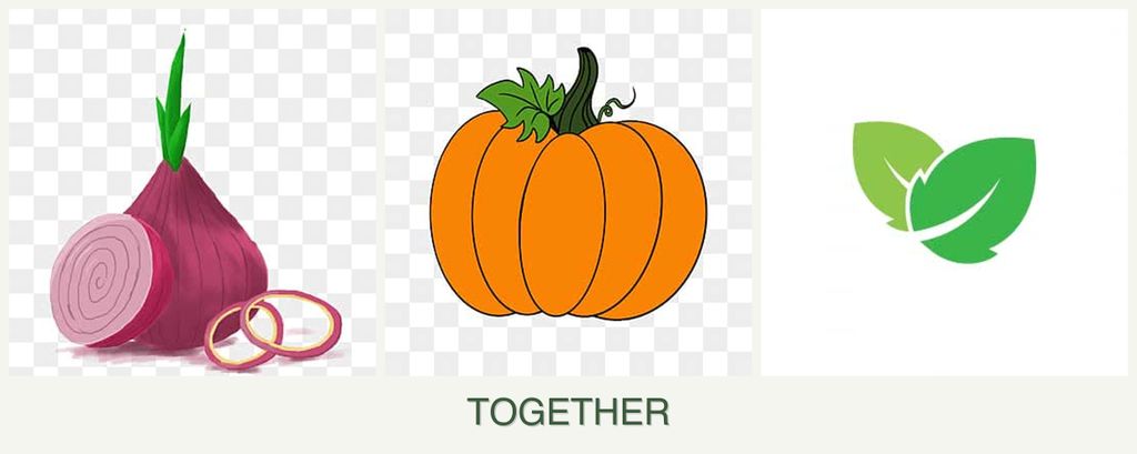 Can you plant onions, pumpkin and mint together?