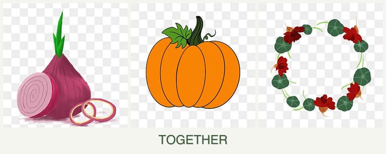 Can you plant onions, pumpkin and nasturtiums together?
