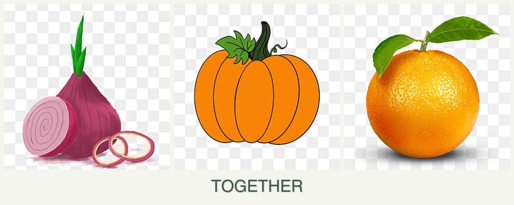 Can you plant onions, pumpkin and oranges together?