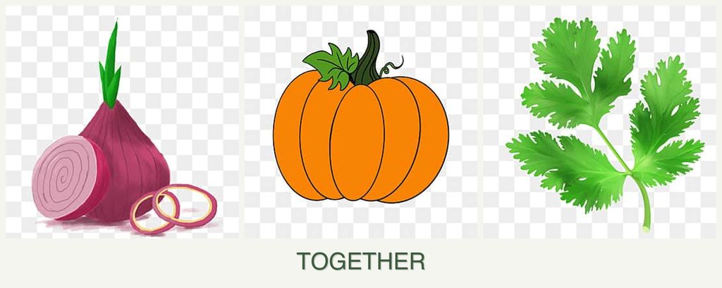 Can you plant onions, pumpkin and parsley together?