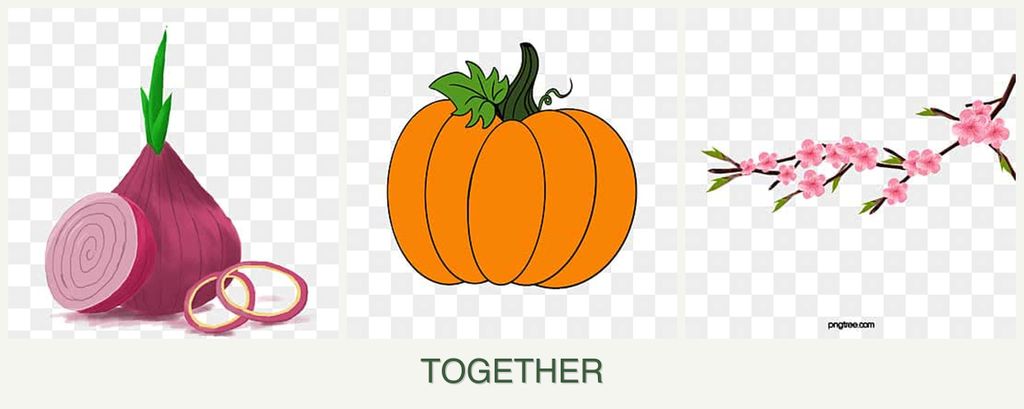 Can you plant onions, pumpkin and peaches together?