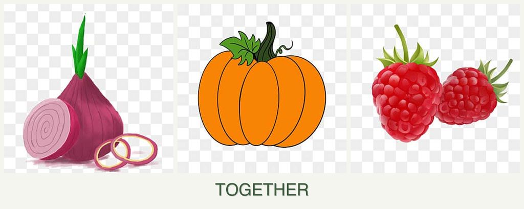 Can you plant onions, pumpkin and raspberries together?