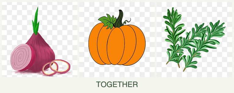 Can you plant onions, pumpkin and rosemary together?