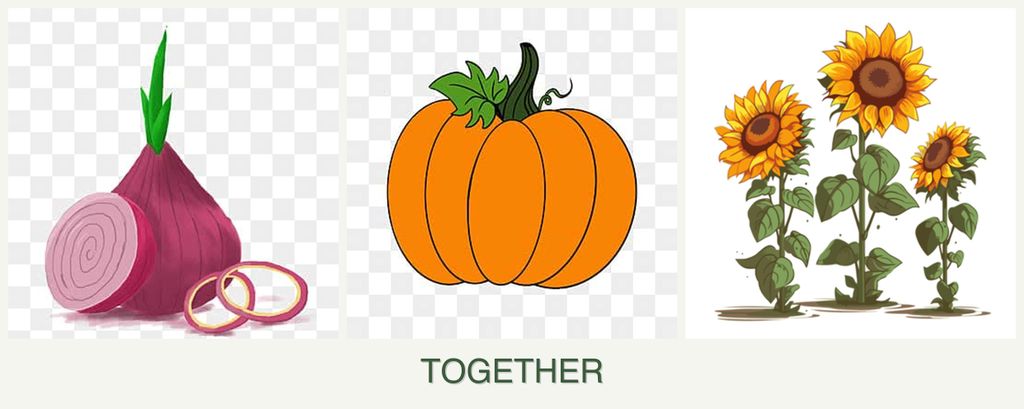 Can you plant onions, pumpkin and sunflowers together?