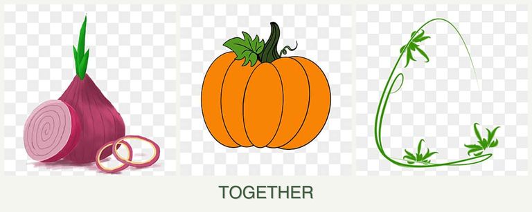 Can you plant onions, pumpkin and tarragon together?