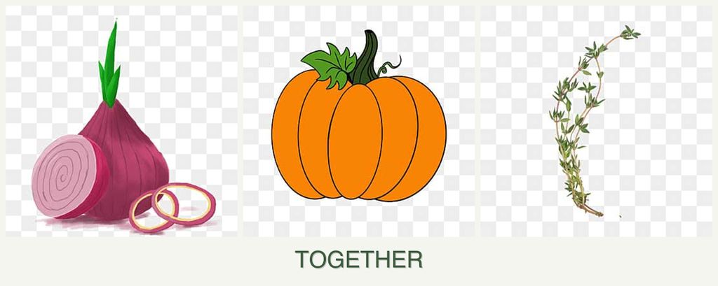 Can you plant onions, pumpkin and thyme together?