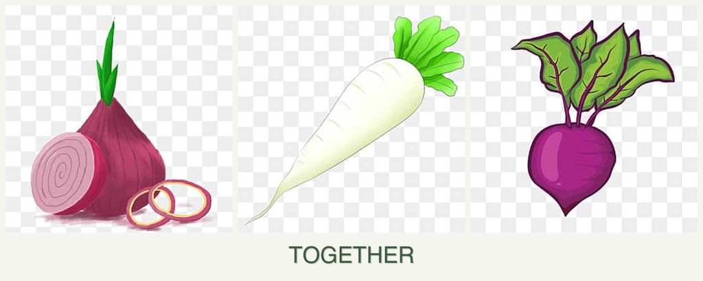 Can you plant onions, radishes and beets together?