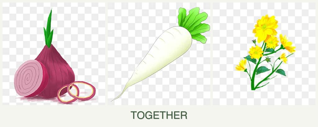 Can you plant onions, radishes and calendula together?