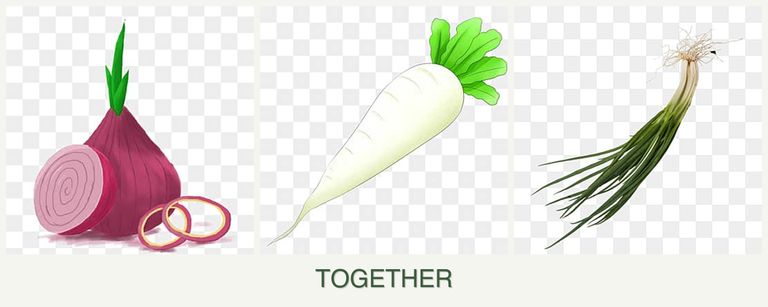Can you plant onions, radishes and chives together?