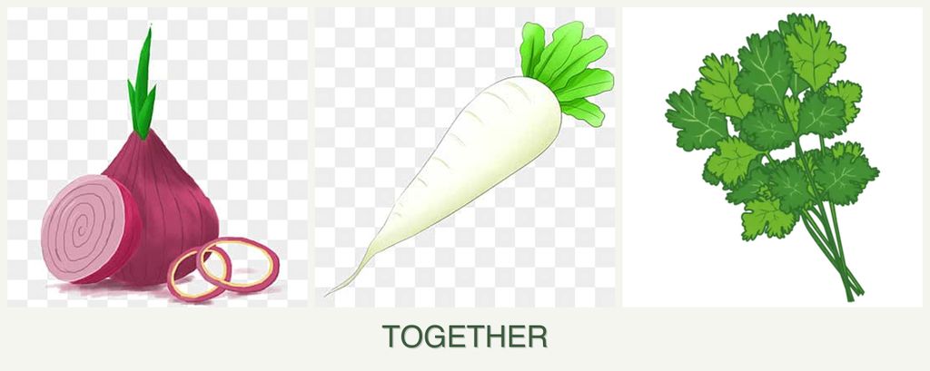 Can you plant onions, radishes and cilantro together?
