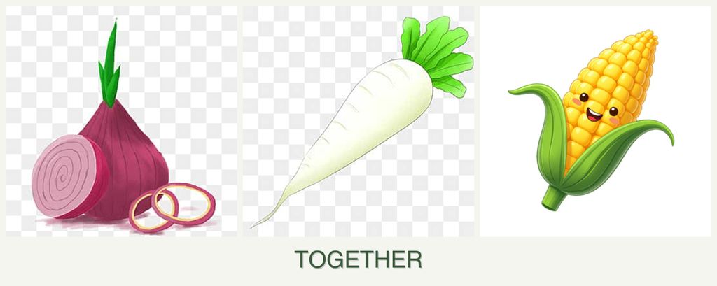 Can you plant onions, radishes and corn together?
