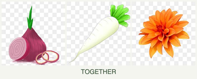 Can you plant onions, radishes and dahlias together?
