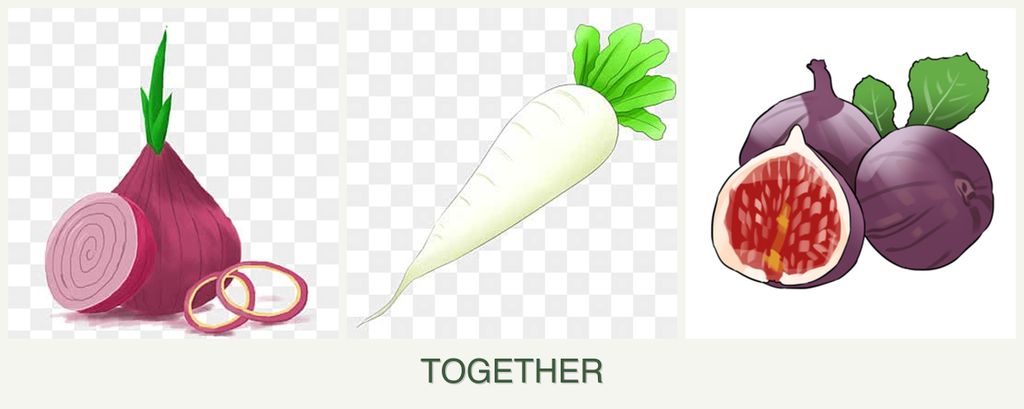 Can you plant onions, radishes and figs together?