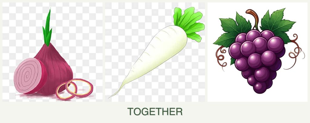 Can you plant onions, radishes and grapes together?