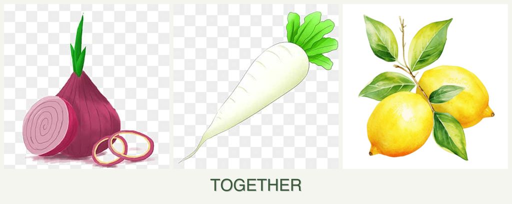 Can you plant onions, radishes and lemons together?