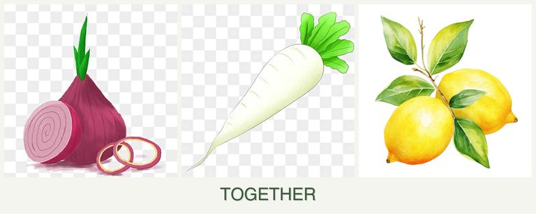 Can you plant onions, radishes and lemons together?