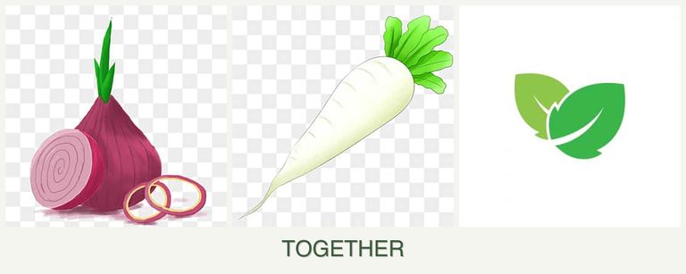 Can you plant onions, radishes and mint together?