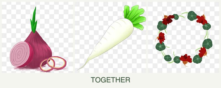 Can you plant onions, radishes and nasturtiums together?