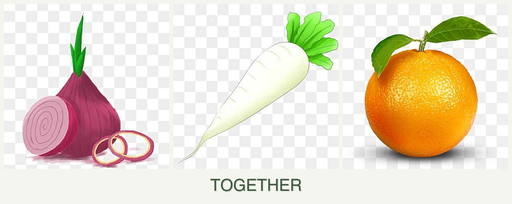 Can you plant onions, radishes and oranges together?