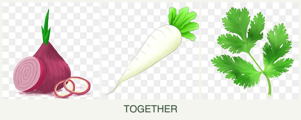 Can you plant onions, radishes and parsley together?