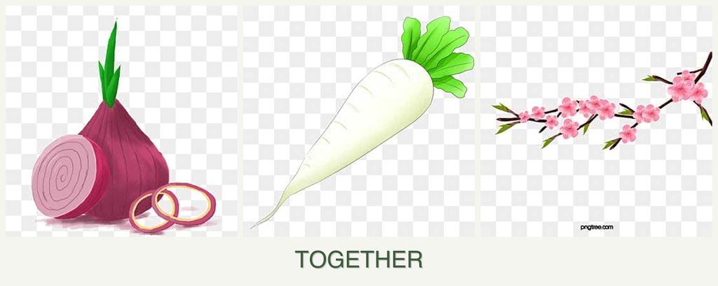 Can you plant onions, radishes and peaches together?