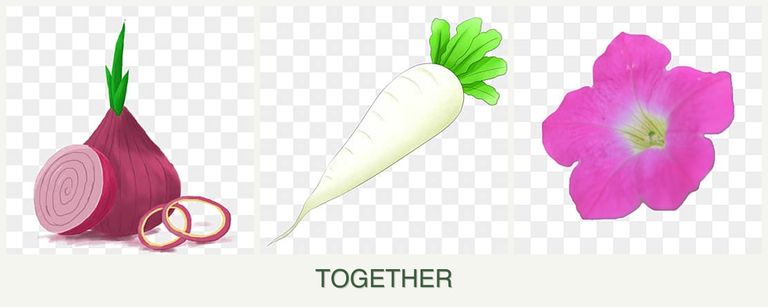 Can you plant onions, radishes and petunias together?