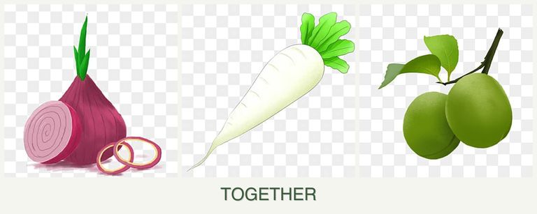 Can you plant onions, radishes and plums together?